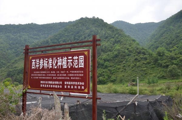 1683768445488871.jpg 1.jpg