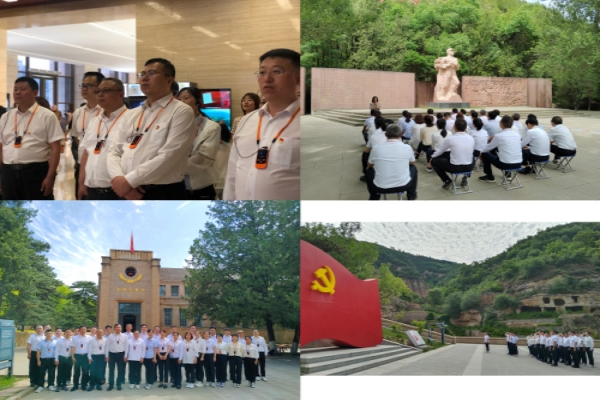 1686032107830859.jpg 3.jpg